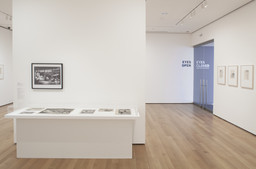 Installation photo, 14 of 29