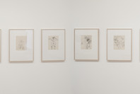 Eyes Closed/Eyes Open: Recent Acquisitions in Drawings. Aug 9, 2012–Jan 25, 2013. 3 other works identified