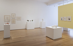 Installation photo, 9 of 44