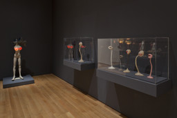 Installation photo, 18 of 44