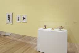 Installation photo, 29 of 44