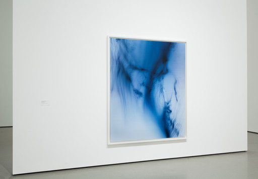 Wolfgang Tillmans. Freischwimmer 199. 2012 | MoMA