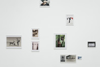 Contemporary Collection. Nov 16, 2011–Feb 9, 2014. 8 other works identified