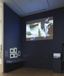 Installation photo, 34 of 40