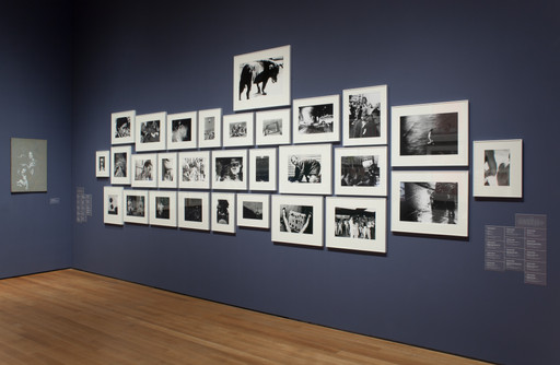 Daidō Moriyama (森山 大道). Stray Dog, Misawa. 1971 | MoMA