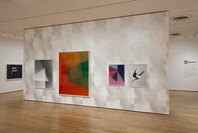 New Photography 2012: Michele Abeles, Birdhead, Anne Collier, Zoe Crosher, Shirana Shahbazi. Oct 3, 2012–Feb 4, 2013.