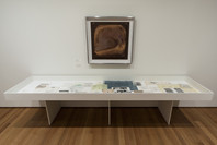 Wait, Later This Will Be Nothing: Editions by Dieter Roth. Feb 17–Jun 24, 2013.