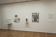 Wait, Later This Will Be Nothing: Editions by Dieter Roth. Feb 17–Jun 24, 2013.