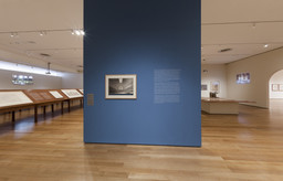 Installation photo, 15 of 47