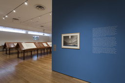 Installation photo, 16 of 47