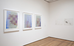 Installation photo, 9 of 16