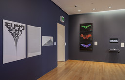 Installation photo, 4 of 17