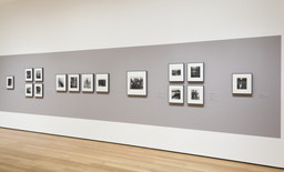 Installation photo, 4 of 17