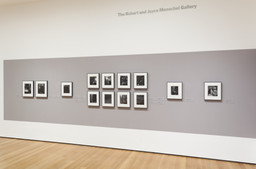 Installation photo, 5 of 17