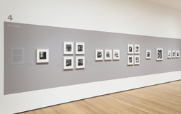 Installation photo, 6 of 17