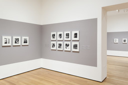 Installation photo, 7 of 17