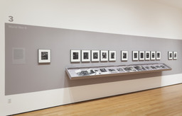 Installation photo, 8 of 17