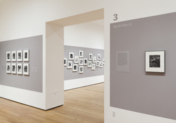 Installation photo, 11 of 17