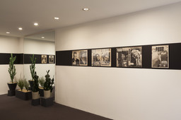 Installation photo, 5 of 19