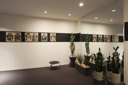 Installation photo, 6 of 19