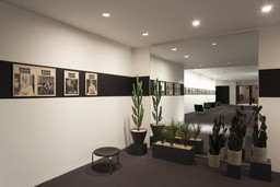 Installation photo, 7 of 19