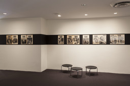Installation photo, 9 of 19