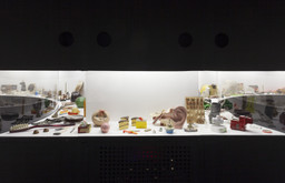 Installation photo, 17 of 69