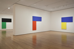 Ellsworth Kelly: Chatham Series | MoMA