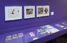 Installation photo, 6 of 24
