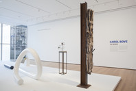 Carol Bove: The Equinox. Jul 20, 2013–Jan 12, 2014. 3 other works identified