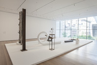 Carol Bove: The Equinox. Jul 20, 2013–Jan 12, 2014. 6 other works identified