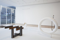 Carol Bove: The Equinox. Jul 20, 2013–Jan 12, 2014. 4 other works identified