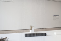 Carol Bove: The Equinox. Jul 20, 2013–Jan 12, 2014. 3 other works identified