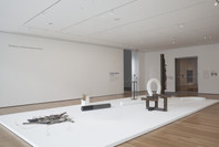 Carol Bove: The Equinox. Jul 20, 2013–Jan 12, 2014. 6 other works identified