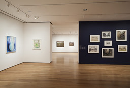 Installation photo, 13 of 37