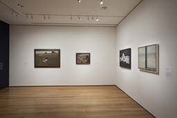 Installation photo, 15 of 37