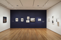 Installation photo, 21 of 37