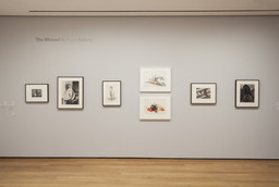 Installation photo, 33 of 37