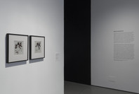 Images of an Infinite Film. Sep 7, 2013–Mar 2, 2014. 1 other work identified