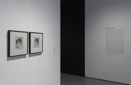 Installation photo, 4 of 14