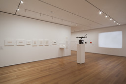 Installation photo, 14 of 27