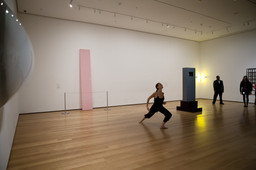 Installation photo, 61 of 104