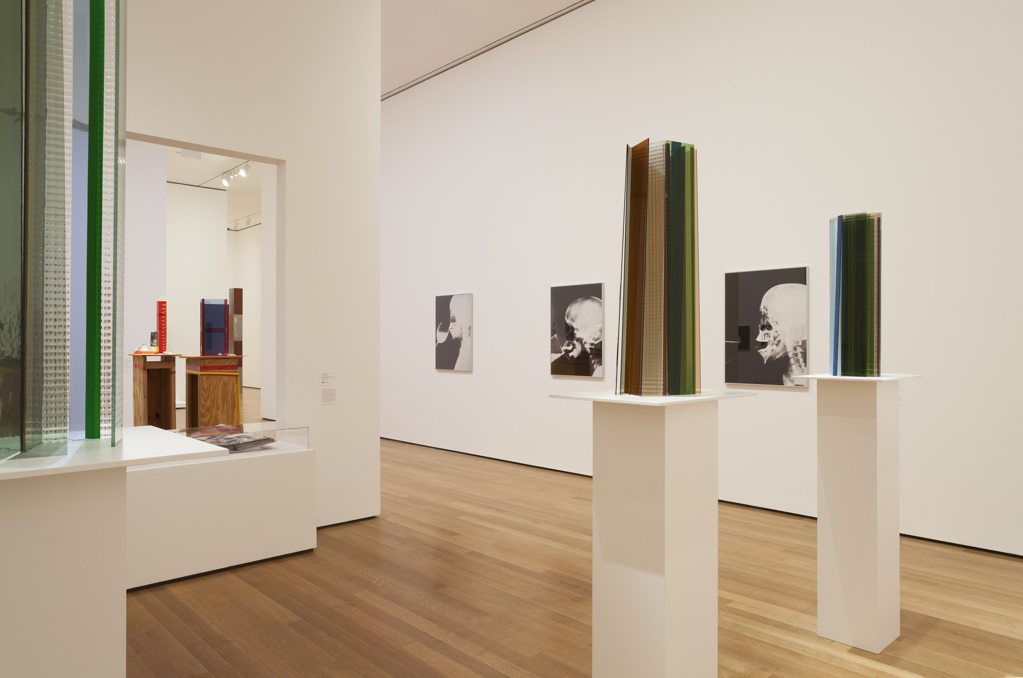 Amazon.com: Isa Genzken: Retrospective: Dedicated to Jasper