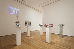 Installation photo, 54 of 76