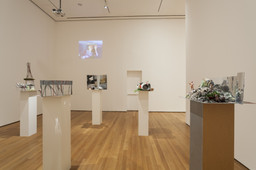 Installation photo, 55 of 76