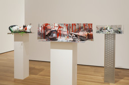 Installation photo, 56 of 76