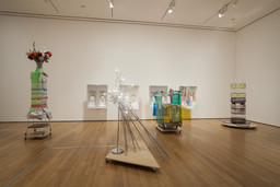 Installation photo, 70 of 76