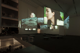 Installation photo, 1 of 25