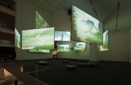 Installation photo, 8 of 25