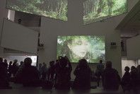 Isaac Julien: Ten Thousand Waves. Nov 25, 2013–Feb 17, 2014.